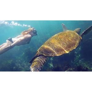 Meet your Posher, Tracie